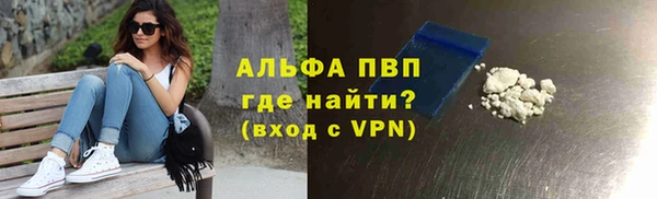 стафф Алексин