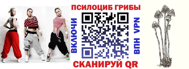 Псилоцибиновые грибы Psilocybe  Сольвычегодск 
